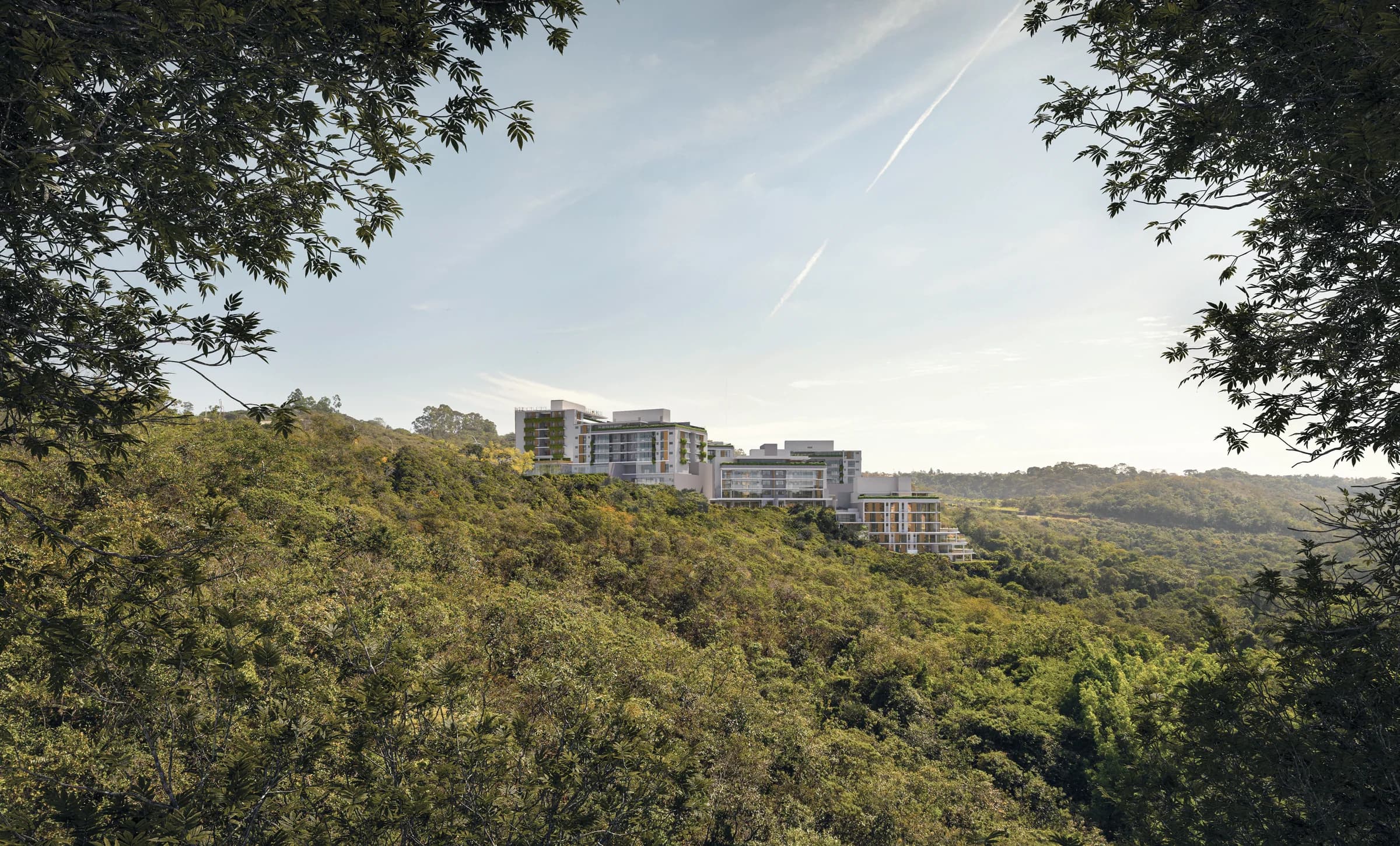 Mata preservada do Reserva Jardim Botânico com os edifícios ao fundo